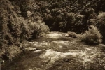 Valea Cernei