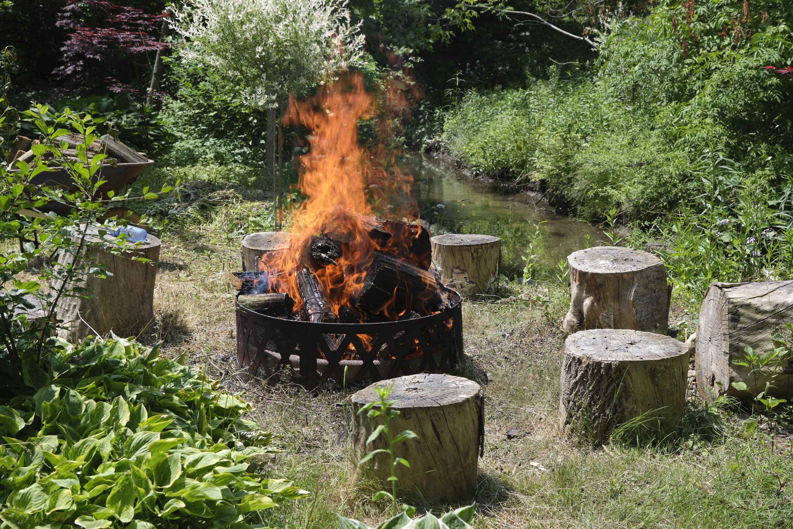 Picnicul Cireșarului, 14 iunie 2025